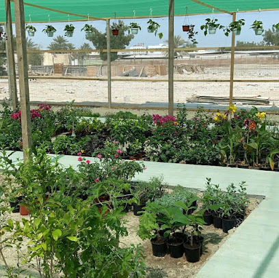 حضانة الزنج مشتل الزنج - الرفاع - +973 3315 4250