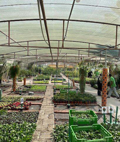 مركز الخير الزراعي (دمستان) - الرفاع - +973 1760 0742