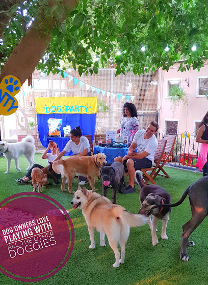 Saar Kennels The Pet Hotel & Spa - Bahrain|Al Markh|2905