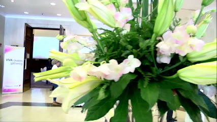 فيديو فوتو - الزنج - +973 3307 0097