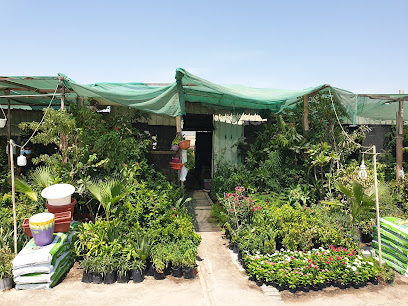 محل الحلي للفخار - الرفاع - +973 3940 4822