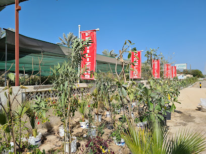 حديقة لافندر - المنامة - +973 3233 7414