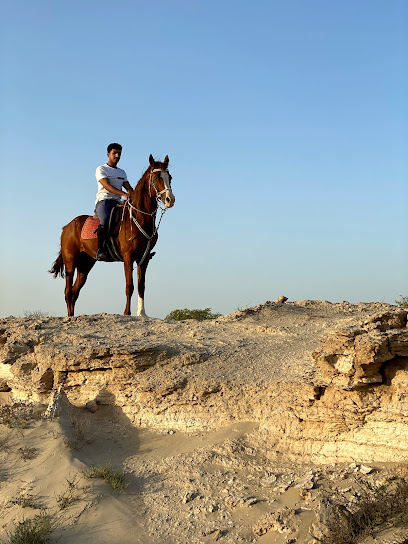 إسطبل الحصان العربي في حفيرا - Bahrain|946|Dirt Road to Tree of Life، Hafera