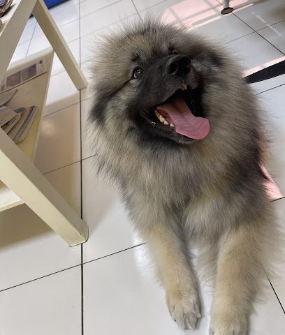 JetPetGlobal - الرفاع - +973 3646 4586