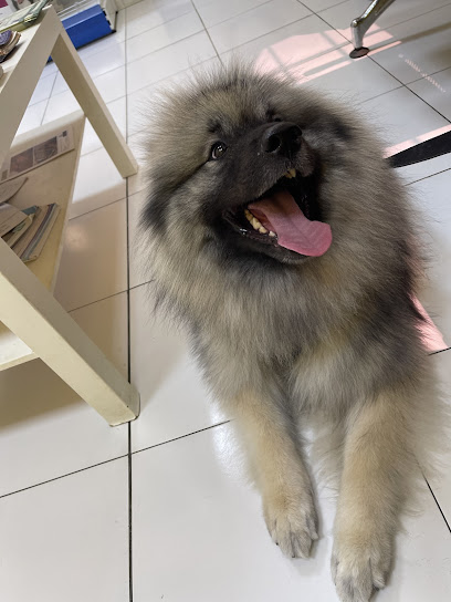 JetPetGlobal - Bahrain|Al Hidd|Al Barsha