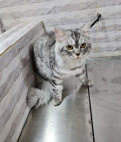 الحيوانات الأليفة الجنة - الرفاع - +973 3514 2434