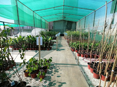 ريحان للتنمية الزراعية مشتل ريحان - المنامة ، - +973 3322 9334
