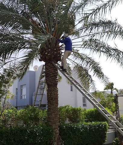 نادي الرفاع للتنس - توبلي - +973 3942 1118