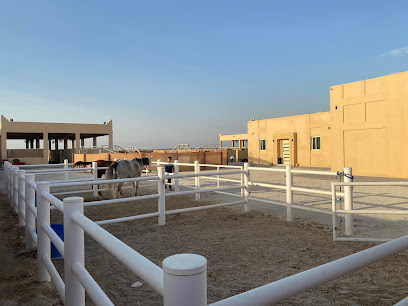 اسطبل الصافنات للقدره والتحمل - سيف - +973 3229 8811