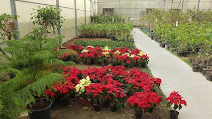 مشتل مكة الزراعى - الرفاع - +973 3205 3130