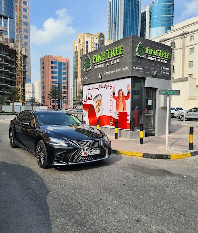 باين تري لتأجير السيارات - توبلي - +973 3311 4606