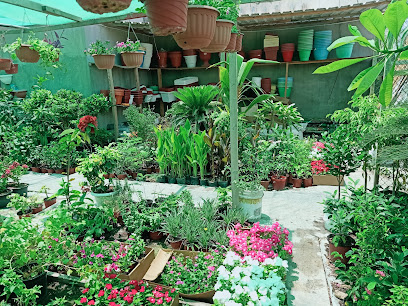 حدائق سهلة - الرفاع - +973 3512 9834