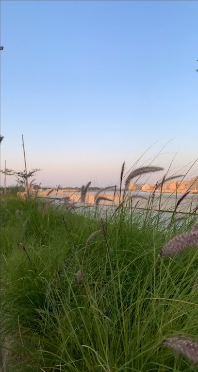 ممشى دانات اللوزي - Bahrain|Al Lawzi|Lawzi lake