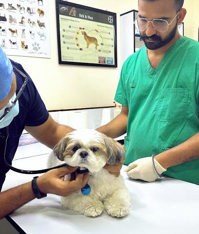 بيت الطب البيطري - مدينة زايد - +973 6637 7797