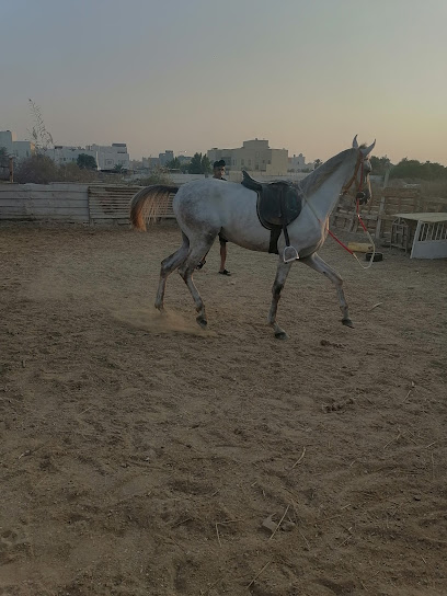 إسطبل آل ماجد - Bahrain|Dar Kulaib|3G92+322