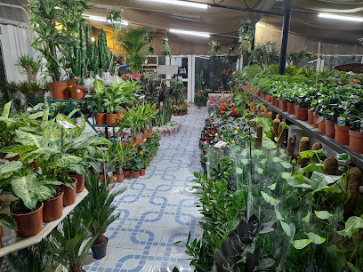 مدرسة الشام للتنمية الزراعية - المنامة - +973 3320 3666