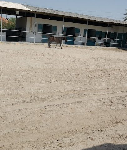 اسطبل النوح - سيف - +973 3994 5858