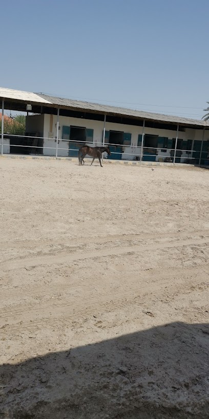 اسطبل النوح - Bahrain|Al Qurayyah|Rd No 4737