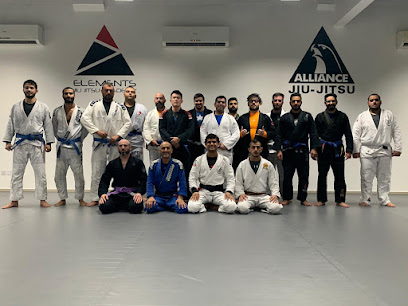 أكاديمية Elements Jiu Jitsu - المحرق - +973 3675 7573