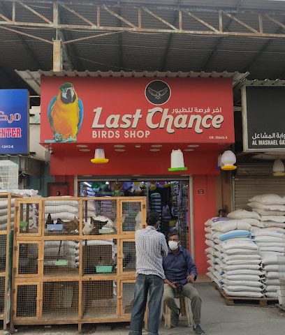الفرصة الأخيرة متجر الطيور - الرفاع -