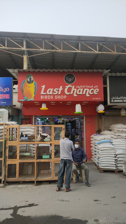 الفرصة الأخيرة متجر الطيور - Bahrain|Hamad Town|4FVV+8Q7