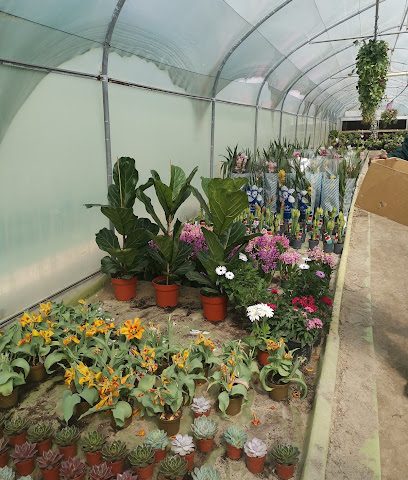 قسم تنسيق حدائق المملكة. - المنامة - +973 1779 3553