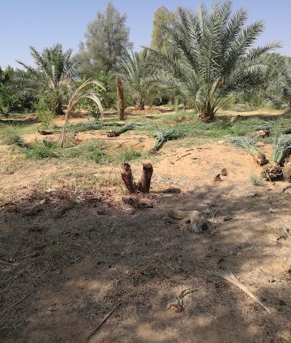 أسواق واحة الحنينية - المحرق - +973 3326 8791