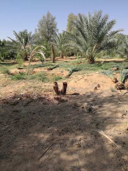 أسواق واحة الحنينية - Bahrain|Riffa|4HH9+RVM