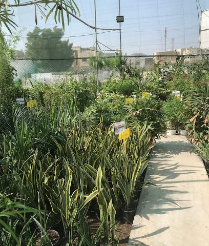 مشتل غصن البحرين - المنامة ، - +973 3927 0909