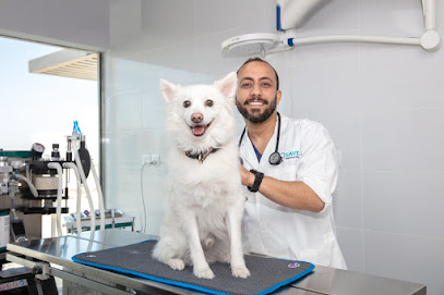 انقاذ عيادة بيطرية - الرفاع - +973 1799 9898