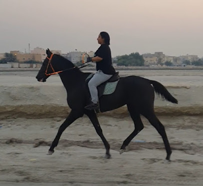 إسطبل الخيال - سيف - +973 6666 9639