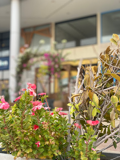 سيتي بيتش - Bahrain|Block 346 Rd No 4655 Watergarden city، Manama