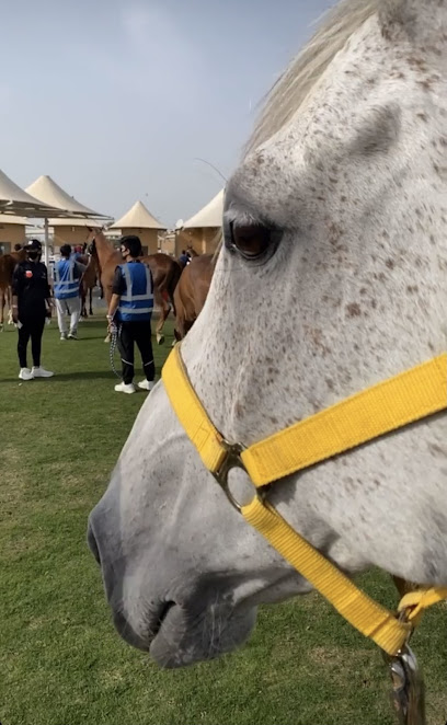أسطبل الشوامخ الزلاق - Bahrain|الزلاق،|3F2Q+HQ8