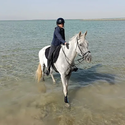 مركز برايم للفروسية - سيف - +973 3372 1333