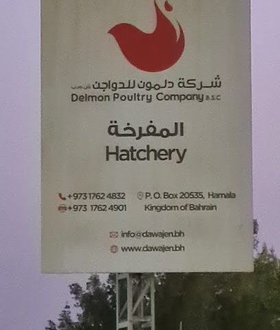 شركة دلمون للدواجن - تفريخ الدجاج ، - الرفاع -