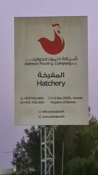 شركة دلمون للدواجن - تفريخ الدجاج ، - Bahrain|Riffa|شارع الاستقلال