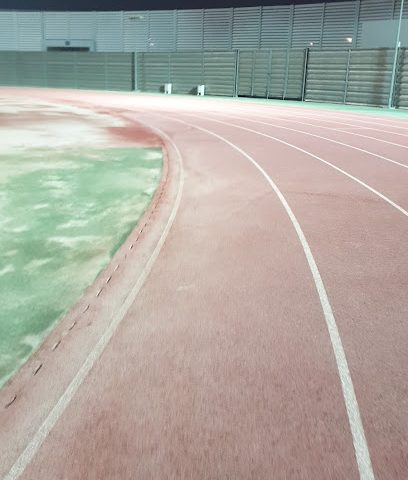 الاتحاد البحريني للكرة الطائرة - سيف - +973 1717 6915
