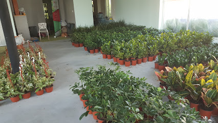 حضانة فرع البحرين - المنامة ، - +973 3927 0909