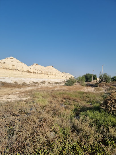 وجهة نظر صحراء الصخير - Bahrain|Riffa|Unnamed Road