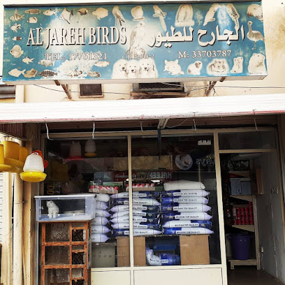 طيور الجريح - الرفاع -