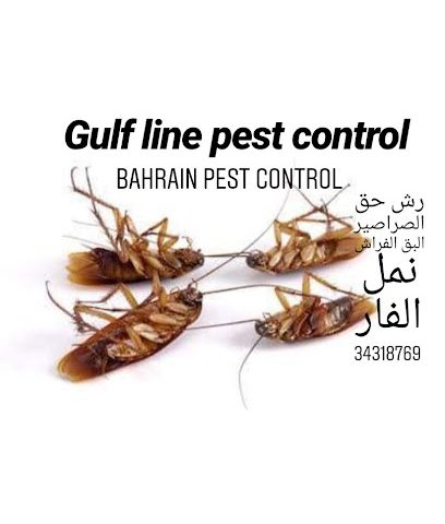 مكافحة الحشرات البحرين - الرفاع - +973 3431 8769