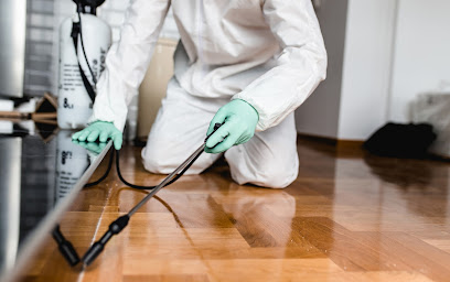 الخط الدولي لمكافحة الآفات - الرفاع - +973 1740 0771