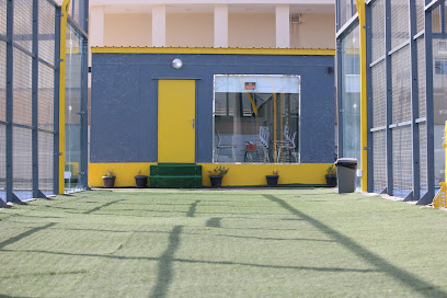 فالكونز باديل - سيف - +973 3900 5091