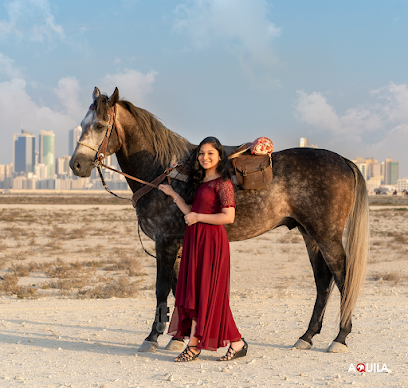 مركز أكويلا الإبداعي - الزلاق ، - +973 3501 9942