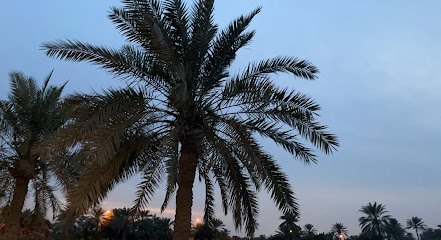 بيوت دلمون بوردنج - الرفاع - +973 1769 4066
