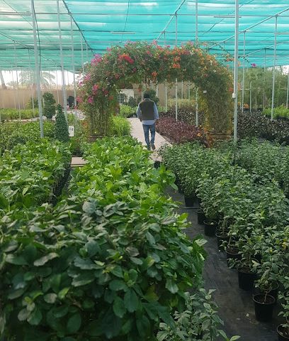 حضانة واحة الصحراء البحرين - المنامة ، - +973 3599 0881