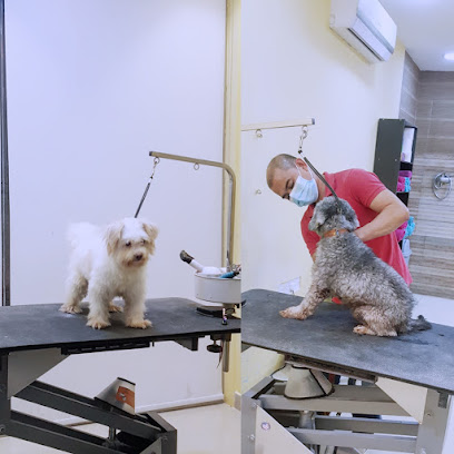 PetLand - الرفاع - +973 1310 7474