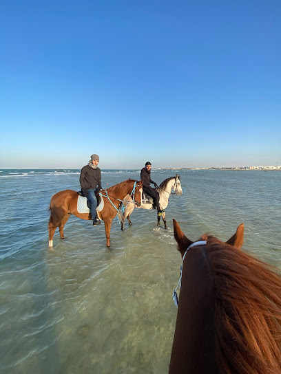 مستقر أخضر - Bahrain|Karzakkan|Avenue 27