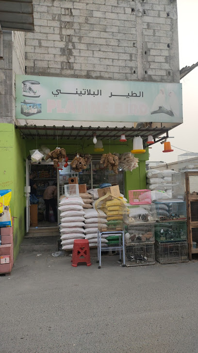 طائر بلاتيني - Bahrain|Hamad Town|4FVV+8P5