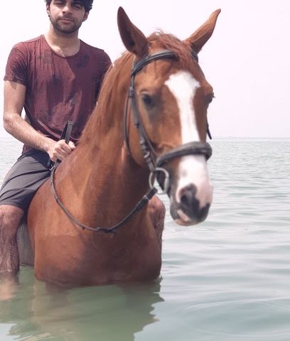 هارتلاند مربط - سيف - +973 3923 3393